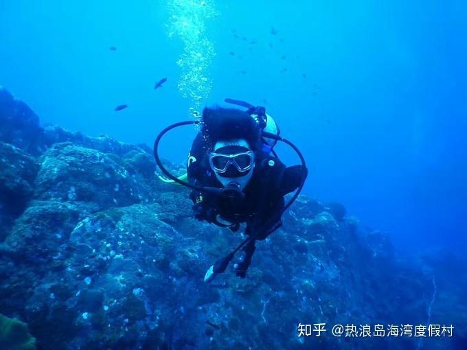 为什么都说汉语不好学,我觉得英语难学啊?-专业问答类网站